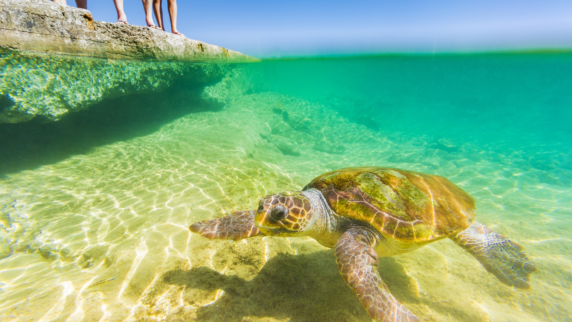 Top 5 Destinations for Family Holidays in Greece